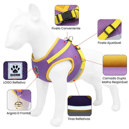 Conjunto Coleira Peitoral e Guia para Cães e Gatos