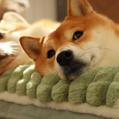 Cama Colchonete Pet Para Cachorro e Gato